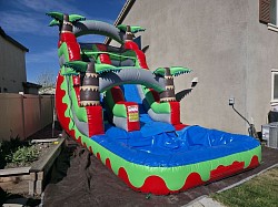 Lava Palm Water Slide
