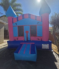 Pink Castle
